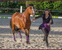 2-13JUIN 0728